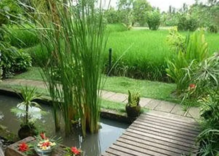 Bliss 4* Ubud
