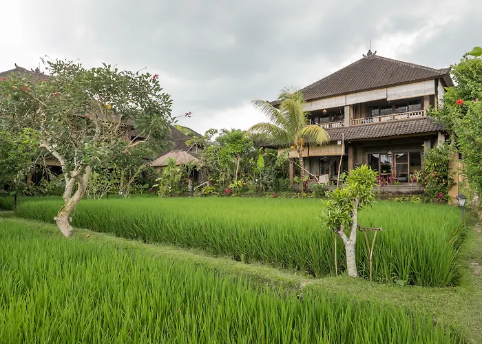 Bliss Hotel Ubud