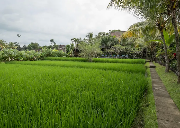 Hotel Bliss Ubud