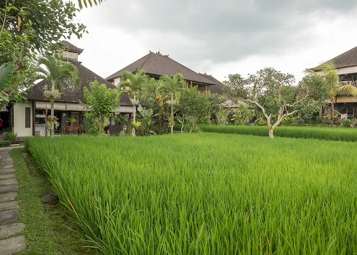 Bliss Hotel Ubud