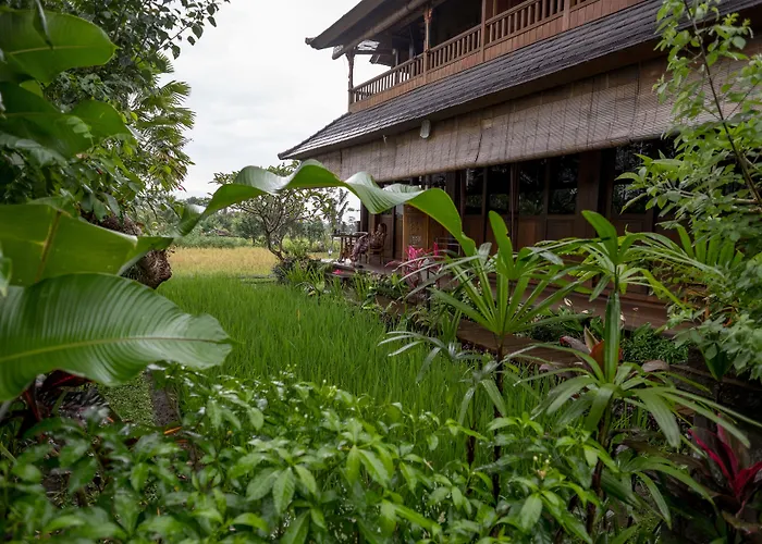 Bliss Ubud