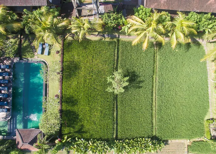 Bliss 4* Ubud