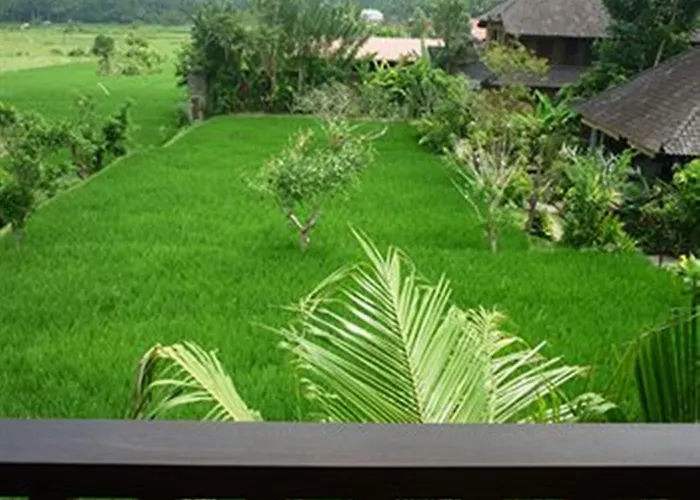 Hotel Bliss Ubud