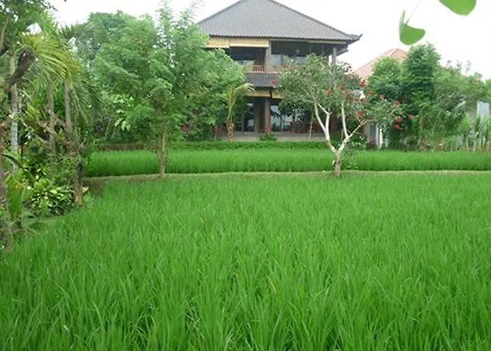 Bliss Hotel Ubud