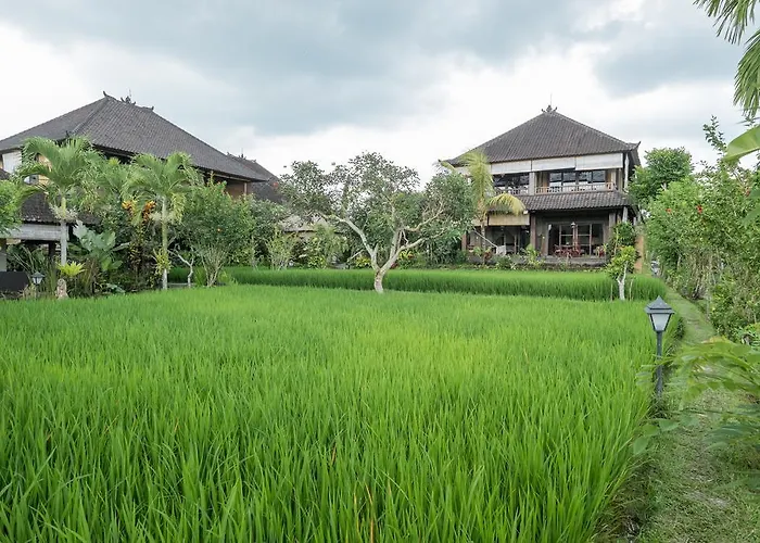 Bliss Ubud