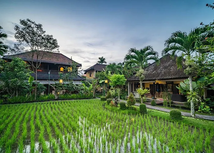 Bliss Ubud