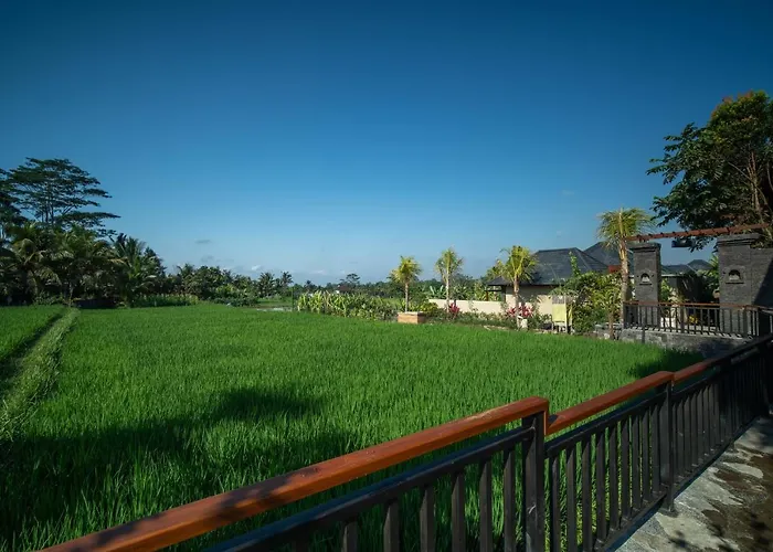 Bliss Ubud